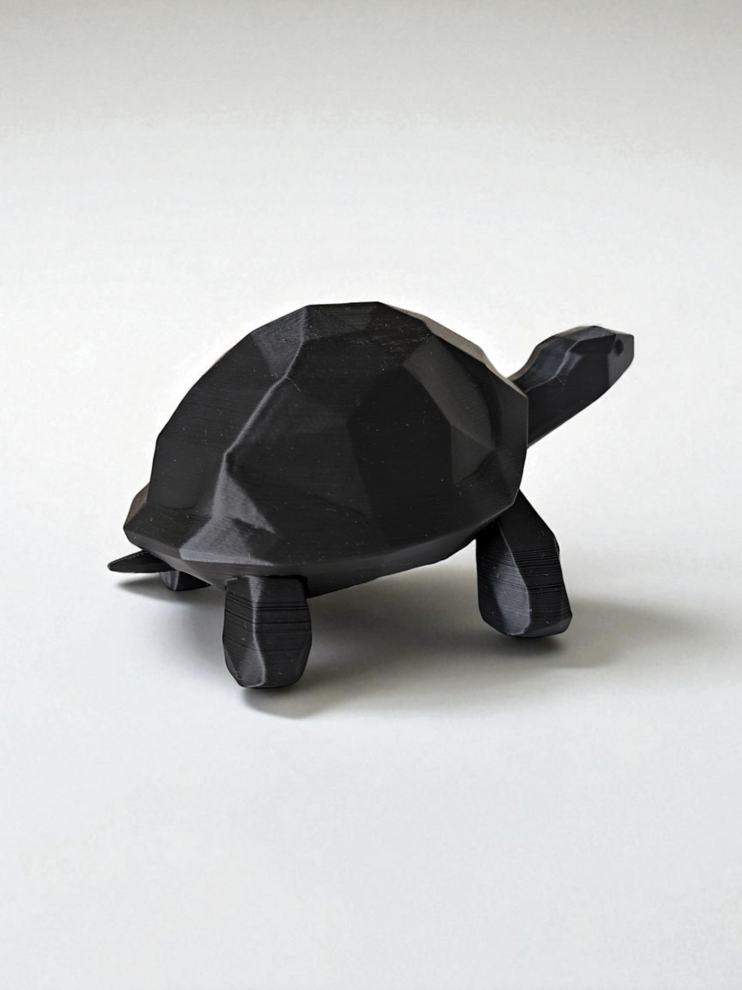 Walking Low Poly Turtle