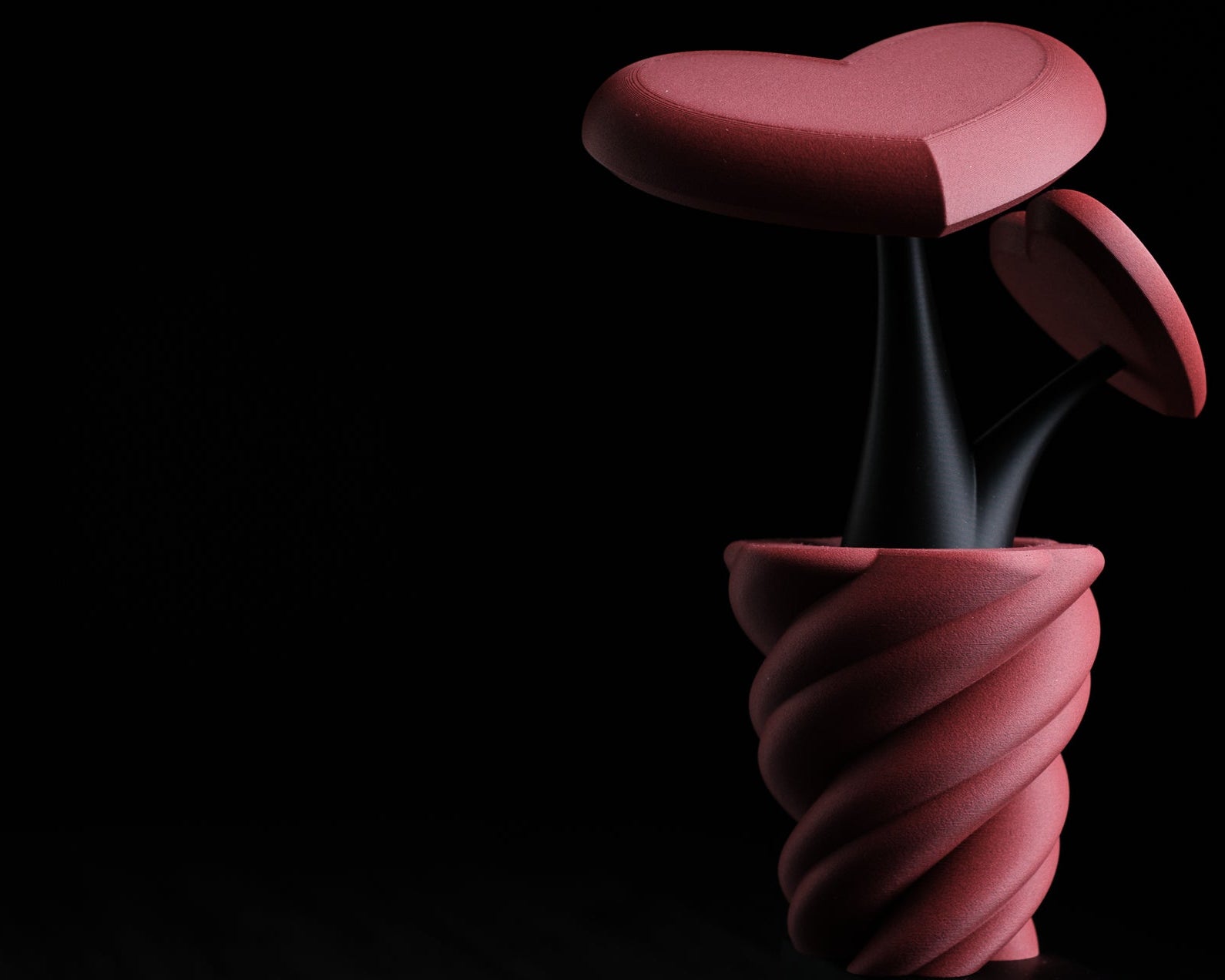 Red, heart-shaped object with a spiral base on a black background