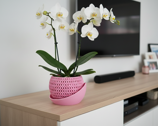 Echo Orchid Planter