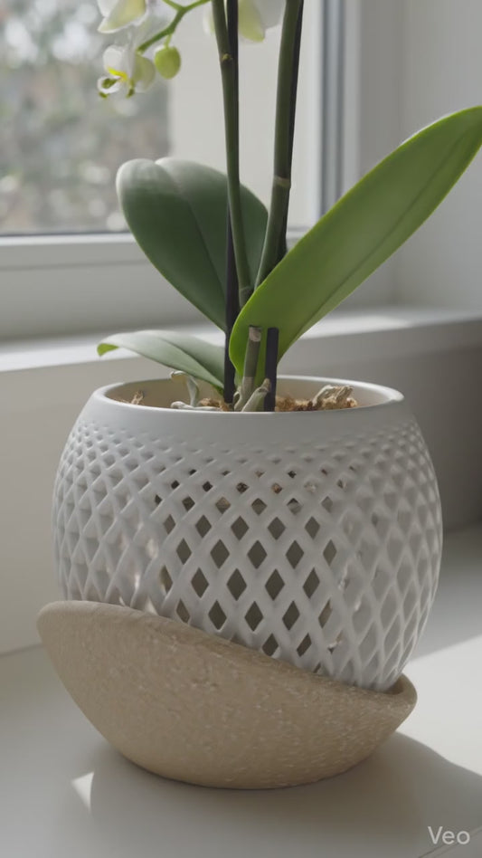Polygon Orchid Planter